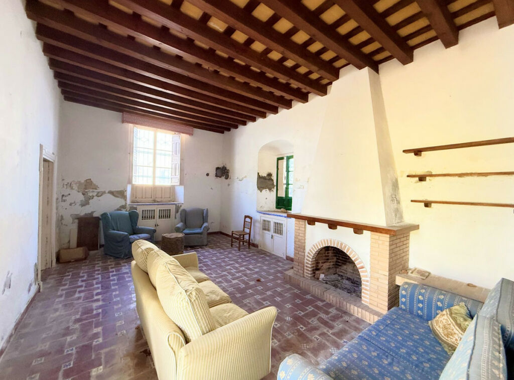 Finca - Cortijo Arcos de la Frontera Cádiz - imagen 6