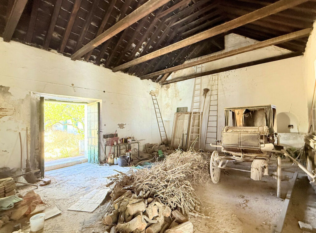 Finca - Cortijo Arcos de la Frontera Cádiz - imagen 60