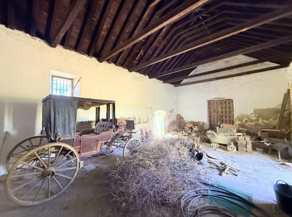 Finca - Cortijo Arcos de la Frontera Cádiz - imagen 62