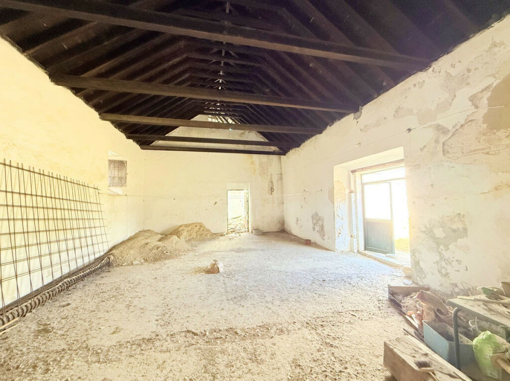 Finca - Cortijo Arcos de la Frontera Cádiz - imagen 63