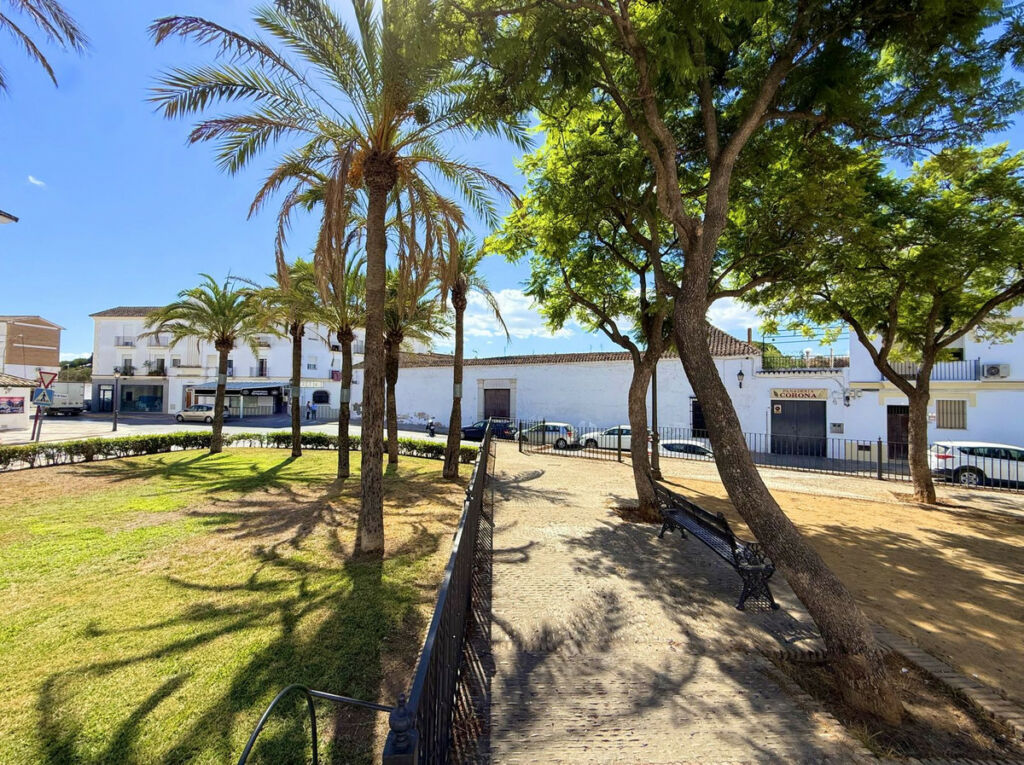 Finca - Cortijo Arcos de la Frontera Cádiz - imagen 69