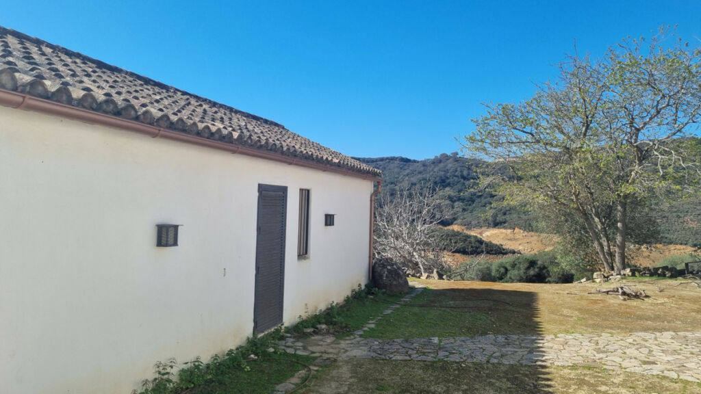 Finca - Cortijo Castellar de la Frontera Cádiz - imagen 8