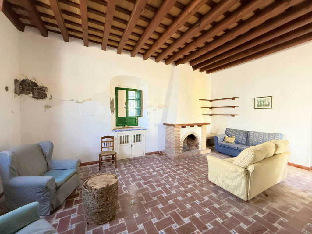 Finca - Cortijo Arcos de la Frontera Cádiz - imagen 8