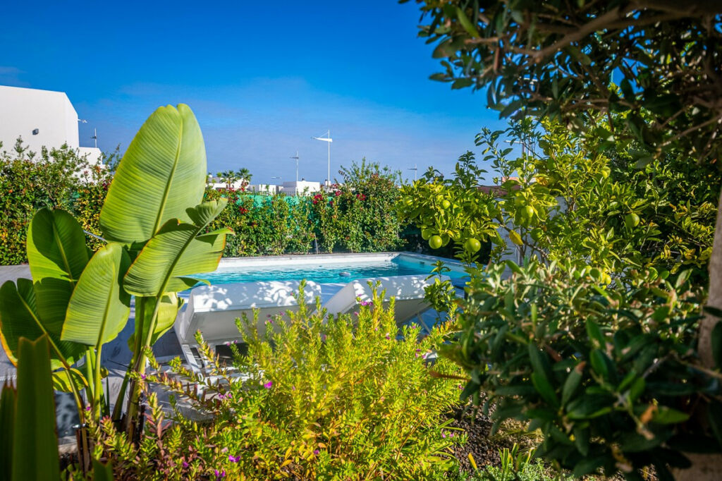Detached Villa Algorfa Alicante - Bild 9