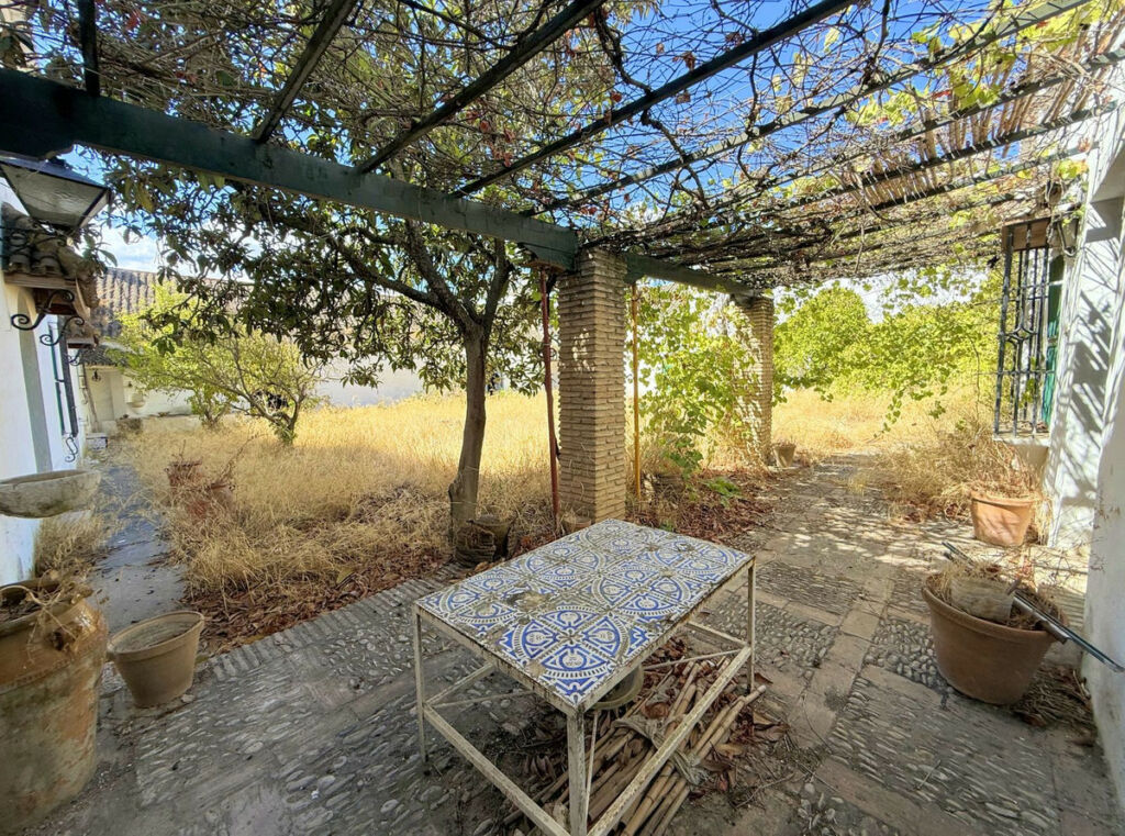Finca - Cortijo Arcos de la Frontera Cádiz - imagen 9